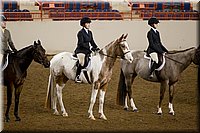 4H-State-2016-1042.jpg