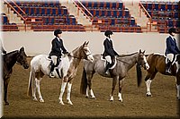 4H-State-2016-1045.jpg