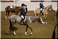 4H-State-2016-1068.jpg