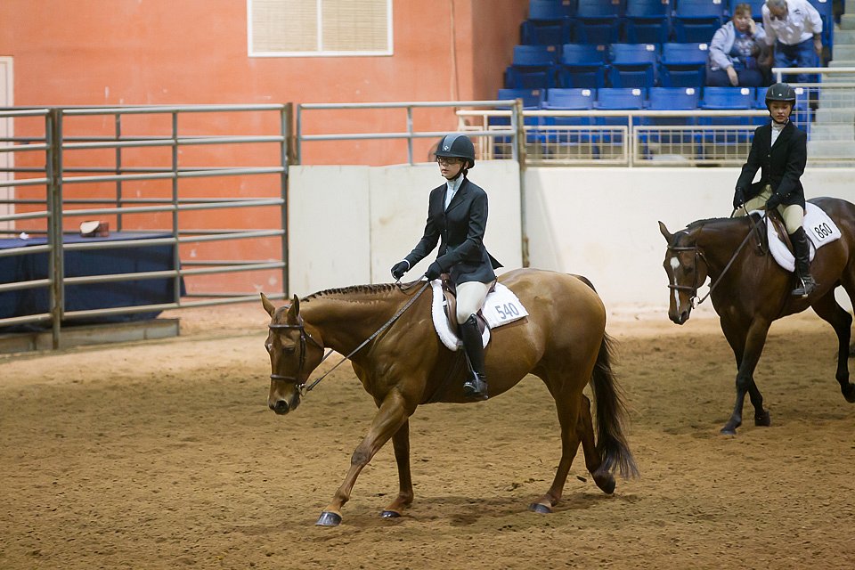 4H-State-2016-0834.jpg