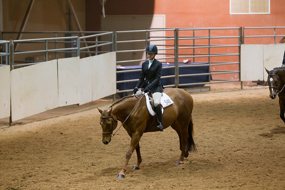 4H-State-2016-0835.jpg