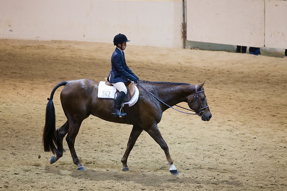 4H-State-2016-0857.jpg