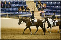 4H-State-2016-0812.jpg