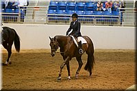 4H-State-2016-0816.jpg