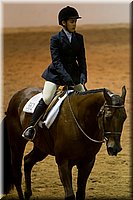 4H-State-2016-0818.jpg