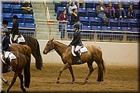 4H-State-2016-0819.jpg