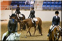 4H-State-2016-0820.jpg