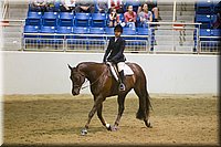 4H-State-2016-0825.jpg