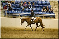 4H-State-2016-0830.jpg