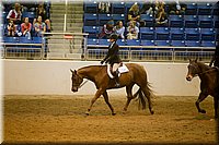 4H-State-2016-0831.jpg