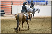 4H-State-2016-0838.jpg