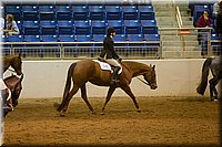 4H-State-2016-0840.jpg