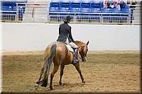 4H-State-2016-0845.jpg