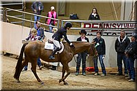 4H-State-2016-0852.jpg