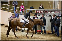 4H-State-2016-0853.jpg