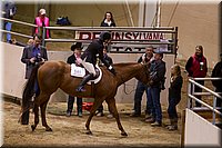 4H-State-2016-0854.jpg