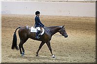 4H-State-2016-0855.jpg