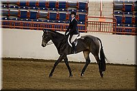 4H-State-2016-1301.jpg