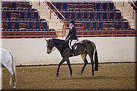 4H-State-2016-1307.jpg