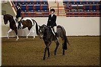 4H-State-2016-1308.jpg