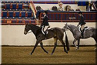 4H-State-2016-1314.jpg