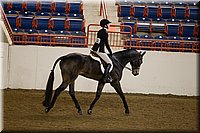 4H-State-2016-1325.jpg