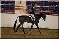 4H-State-2016-1326.jpg