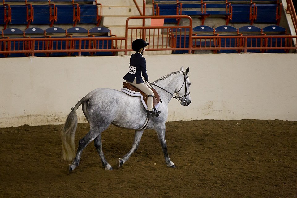 4H-State-2016-0679.jpg