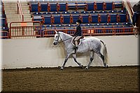 4H-State-2016-0668.jpg