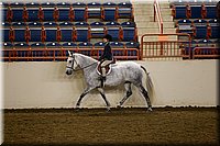 4H-State-2016-0669.jpg