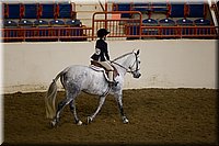 4H-State-2016-0679.jpg