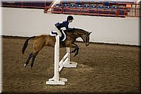 4H-State-2016-0774.jpg