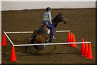 4H-State-2016-0313.jpg