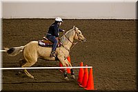 4H-State-2016-0325.jpg