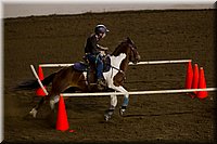 4H-State-2016-0396.jpg