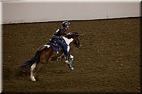 4H-State-2016-0402.jpg