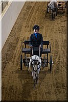 4H-State-2016-0088.jpg