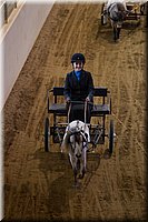 4H-State-2016-0089.jpg