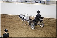 4H-State-2016-0093.jpg