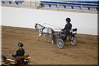 4H-State-2016-0094.jpg