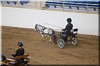 4H-State-2016-0095.jpg