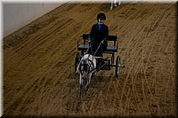 4H-State-2016-0096.jpg