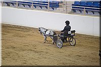 4H-State-2016-0102.jpg