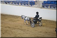 4H-State-2016-0103.jpg