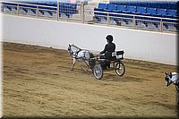 4H-State-2016-0104.jpg