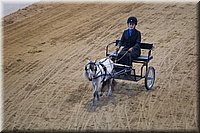 4H-State-2016-0105.jpg