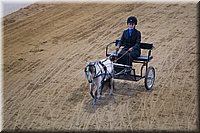 4H-State-2016-0106.jpg