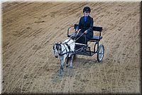 4H-State-2016-0107.jpg