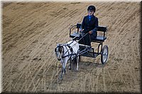 4H-State-2016-0108.jpg