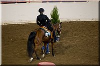 4H-State-2016-1089.jpg